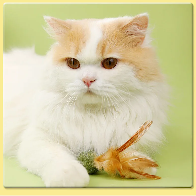 100% мячик из кошачьей мяты