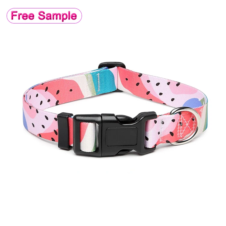 Manufacturer Custom Logo Nylon Dog Collar And Leash Set Luxury Pet Dog Collars