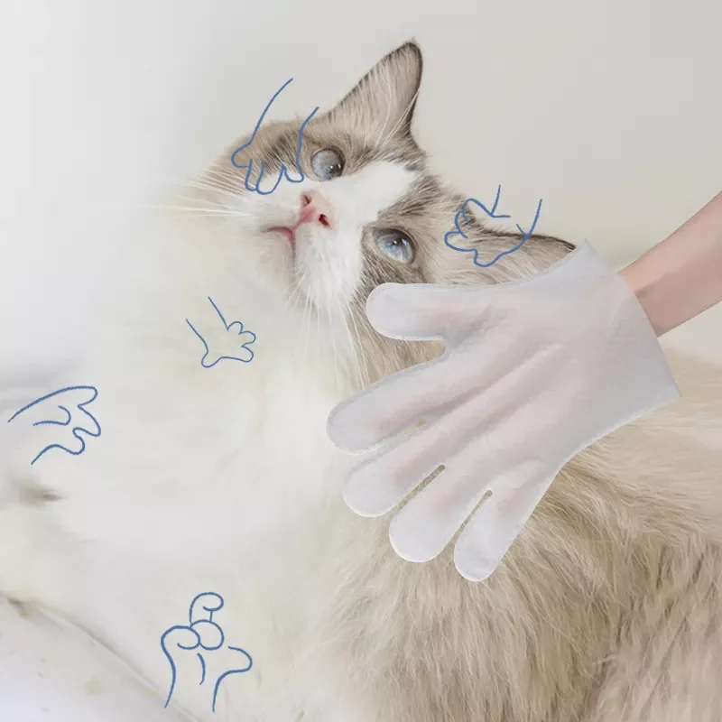 Wholesale Pet Cleaning Products Grooming & bathing Paw Glove WIpes