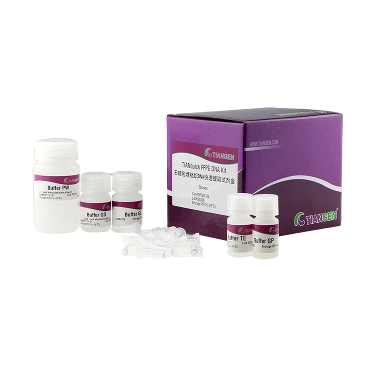 
Hot Sale safe FFPE genomic DNA extraction kit Spin column based nucleic acid purification reagent 