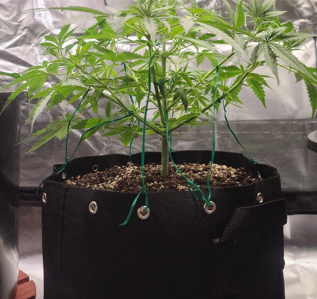 Бесплатные образцы, 5 упаковок, горшок для выращивания растений, 5 галлонов/19 литров, горшок из ткани, тяжелые нетканые мешки для выращивания из войлока