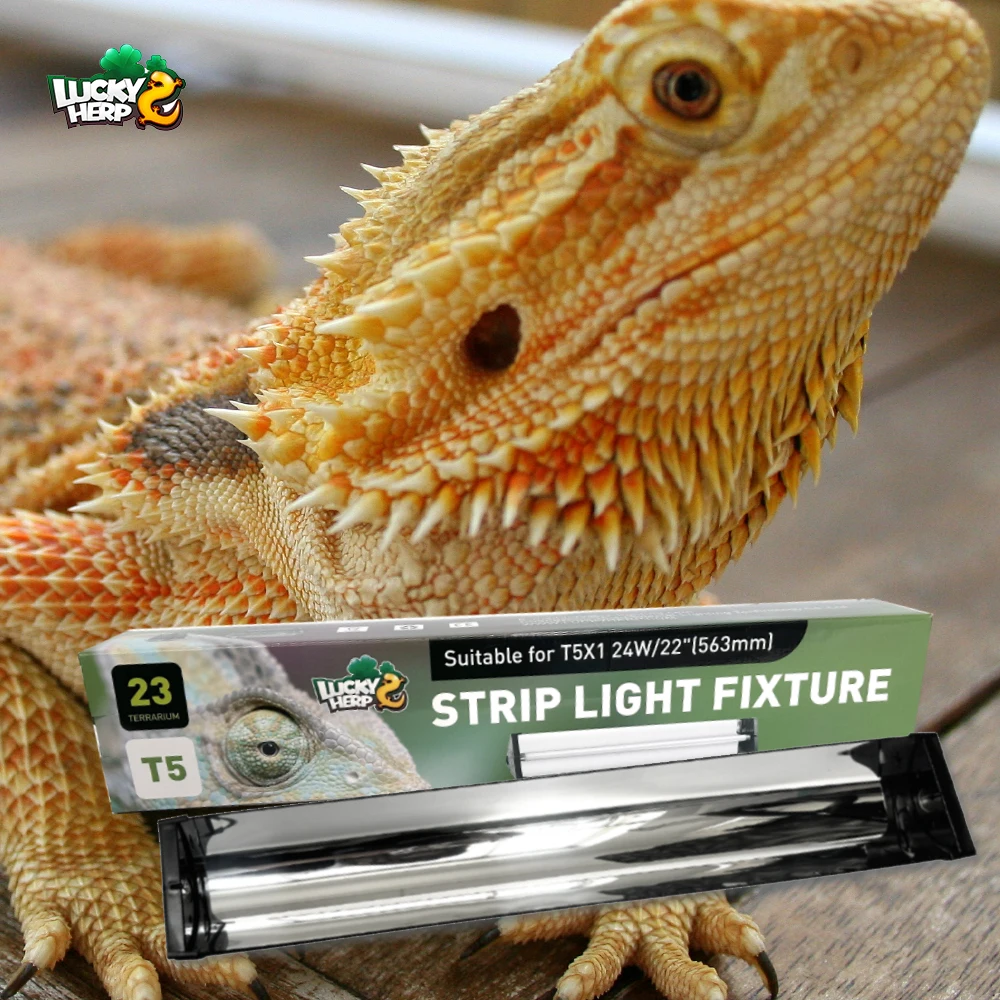 Day Night Reptile Lamp Double T5 Ho Uvb Reptile Light Fitting Combo Kit Reptile Light Fixture