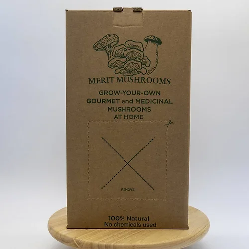 Короткий срок доставки большой черный жемчуг «спрей и рост» Набор для выращивания устриц грибов стартовый набор для выращивания почвы растений