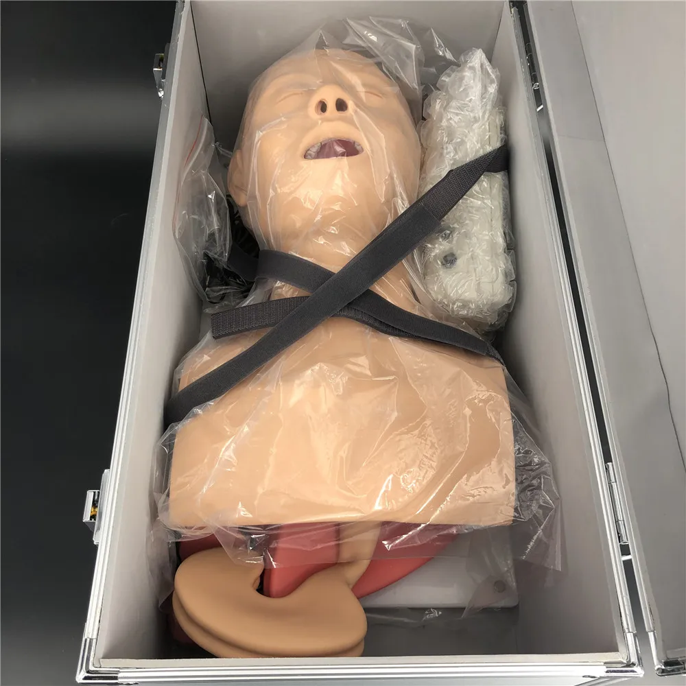 Endotracheal Intubation Training Manikin, intubation training device
