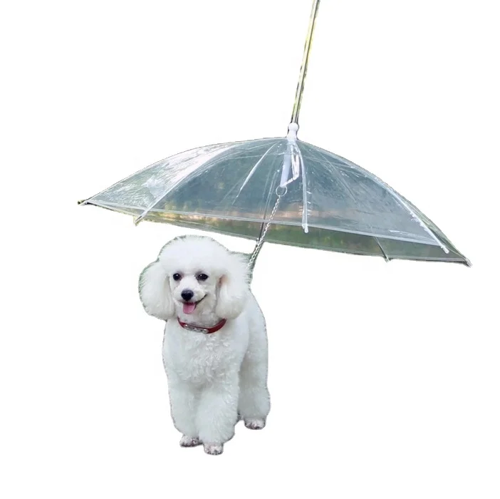 2021 New Design High Quality Folding Manual  transparent Pet Umbrella For  small Dog  Outdoor