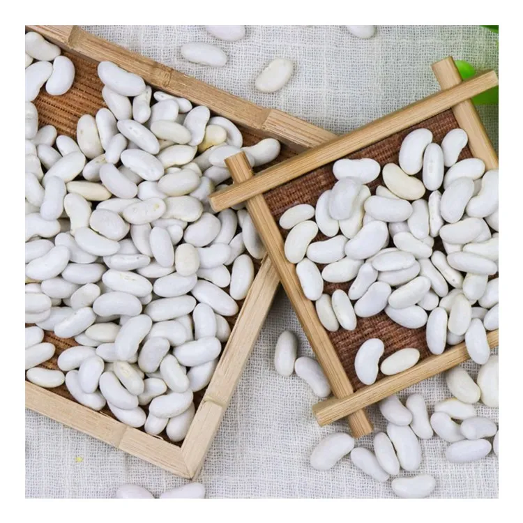 
White kidney bean navy bean pearl bean chinese price 