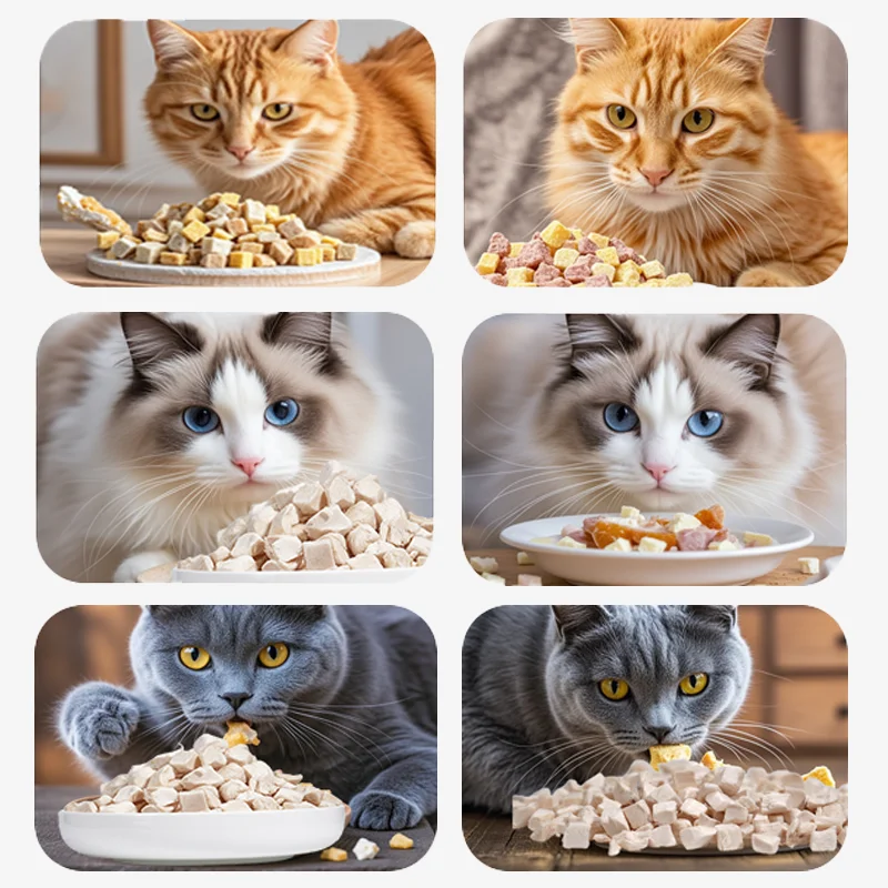 Hot Selling Pet Food High Protein Nutrition Dog Food Cat Food Egg Yolk Cubes  Freeze-Dried Pet Snacks