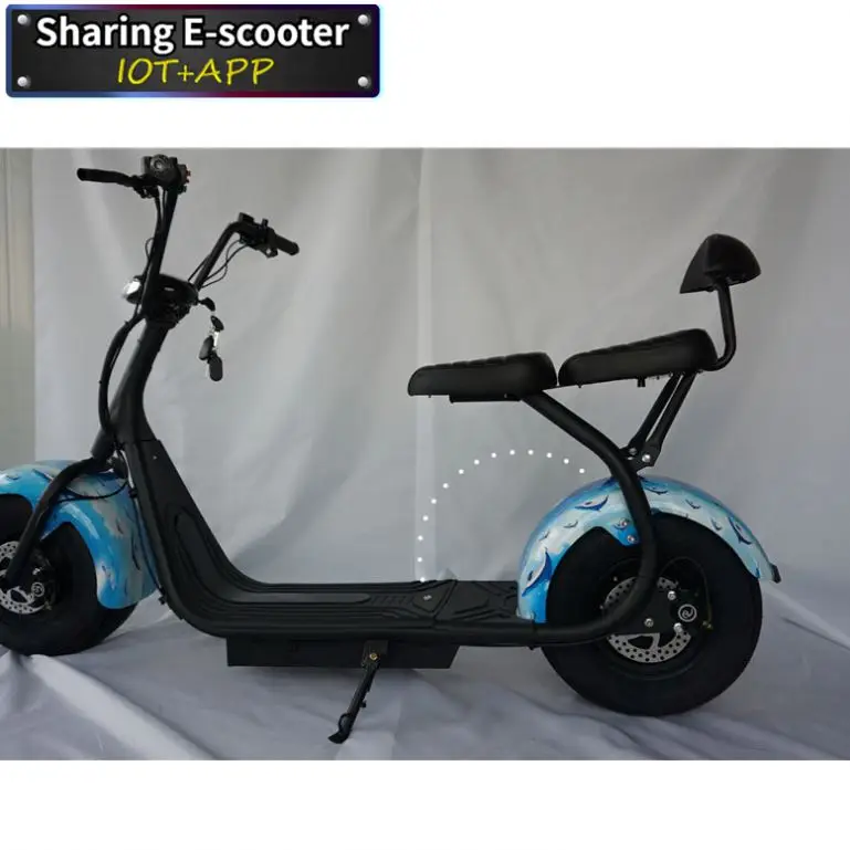 2021 Citycoco 2000W Eec Electric Scooter With Ce/Rohs
