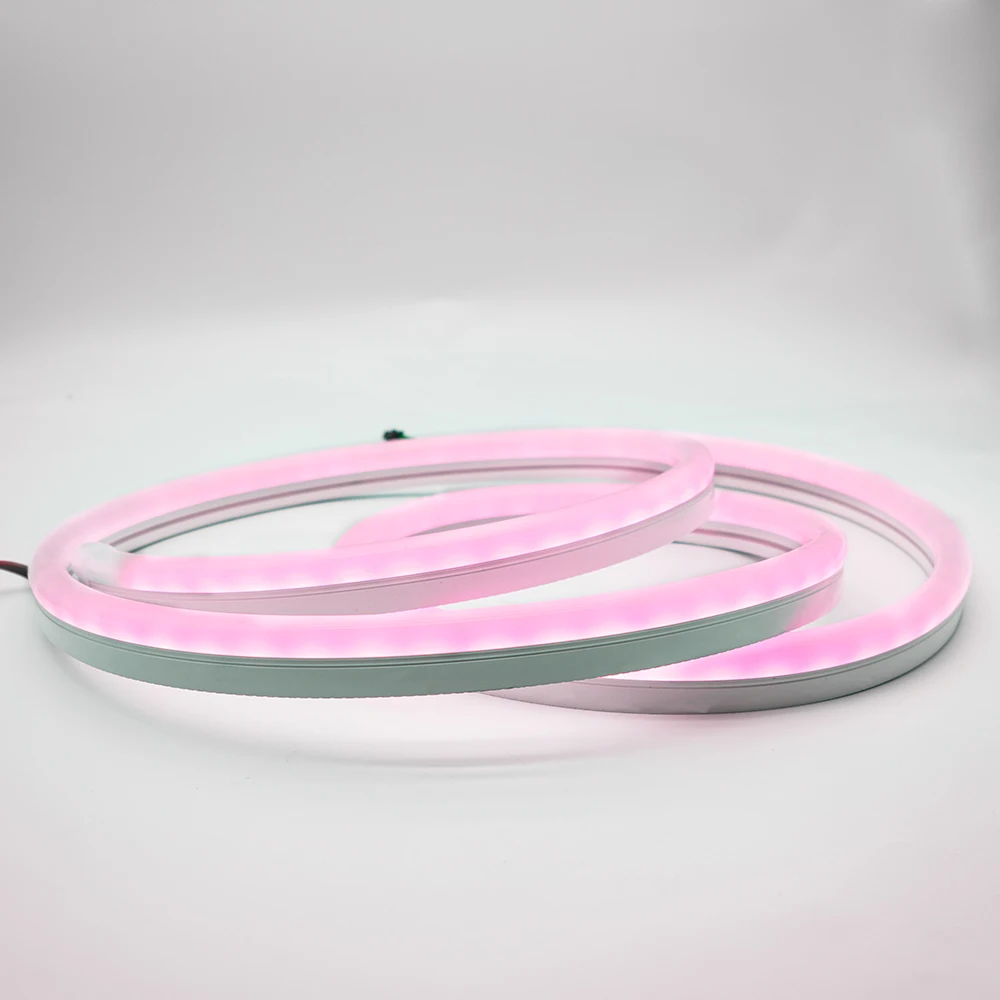 Factory Direct RGB LED Strip Light Neon Flex 24V Input Custom Size for Hotel & Bedroom Birthday Party  Decor