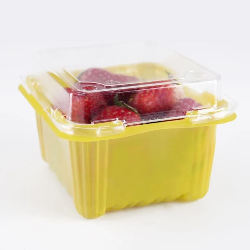 Supermarket Eco-Friendly Recyclable PET Plastic Food Container Clear Embossed Salad Fruit Box Packaging