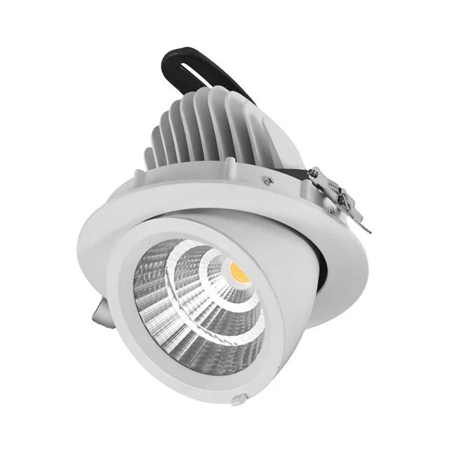
Commercial RA>90 LED Gimbal 30w COB Downlight Snorkel Downlights With Flicker Free for Shopmall 