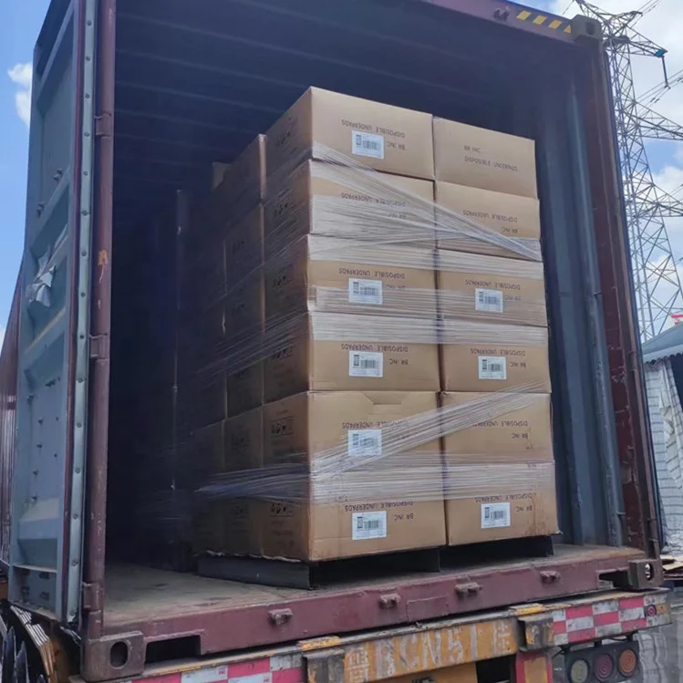 Prevail Extra Large Adult Diaper 6 Tab Plus Size Diaper Disposable 2XL Thick Protection New Clear Elderly Waterproof