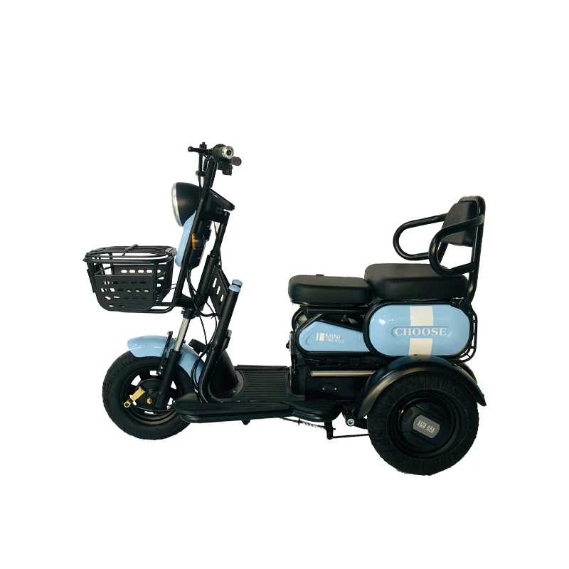 Wholesale New Speed Hot Selling 3 Wheel Adults Battery Powered Battery Cargo Bike Tricycle Electric