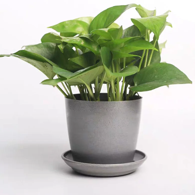 Plant fiber degradable garden flowerpot 10cm succulent pot breathable seedling seed sowing