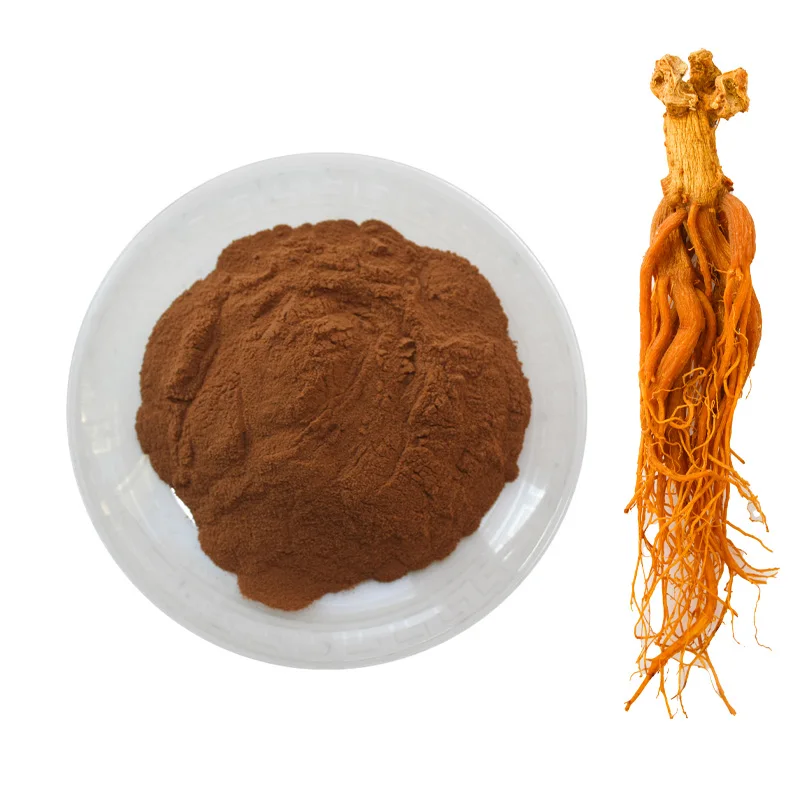 High quality red ginseng extract 10%  80% ginsenoside red ginseng root extract