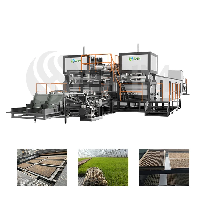 Disposable Recycled waste paper pulp tray making machine for seed plot/seedling nursery/transplant nursery