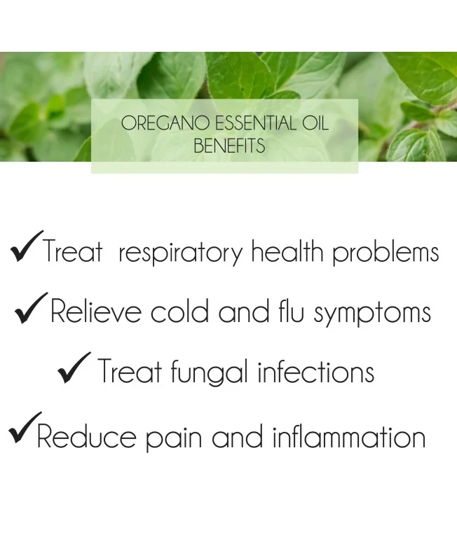 Wholesale OEM Premium Quality Carvacrol 90% Oregano Oil for Feed Citricol