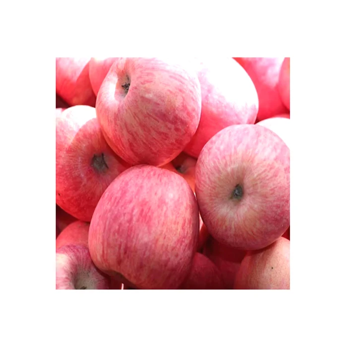 Fresh Sweet Delicious Apples 65mm-85mm Juicy Seasonal Apples With Cheap Price