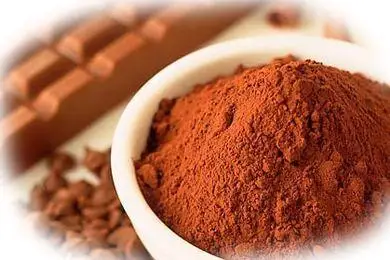 
High quality alkalized reddish brown cocoa powder 20-22% 