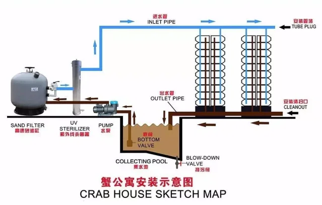 Swimming Crab House Indoor Recirculating Chinese Manufacturer G&N Unique RAS system
