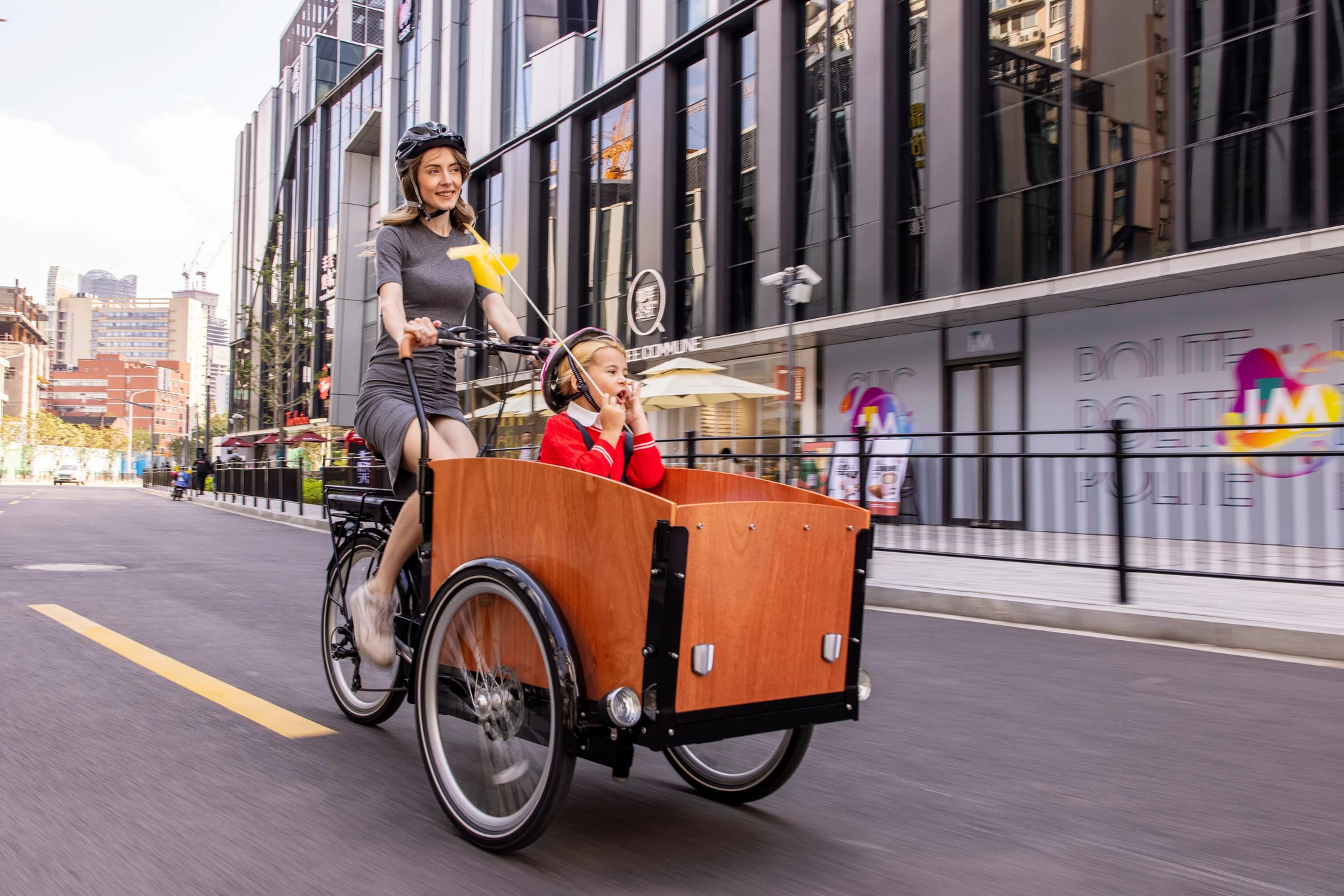 Electric Cargo Bike Made in China Bakfiets Delivery Cargo Urban Family