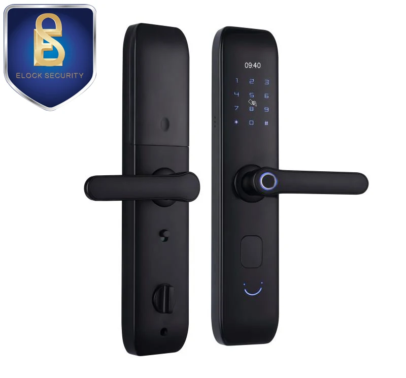 Cheap wifi electronic smart door lock, fingerprint digital door lock