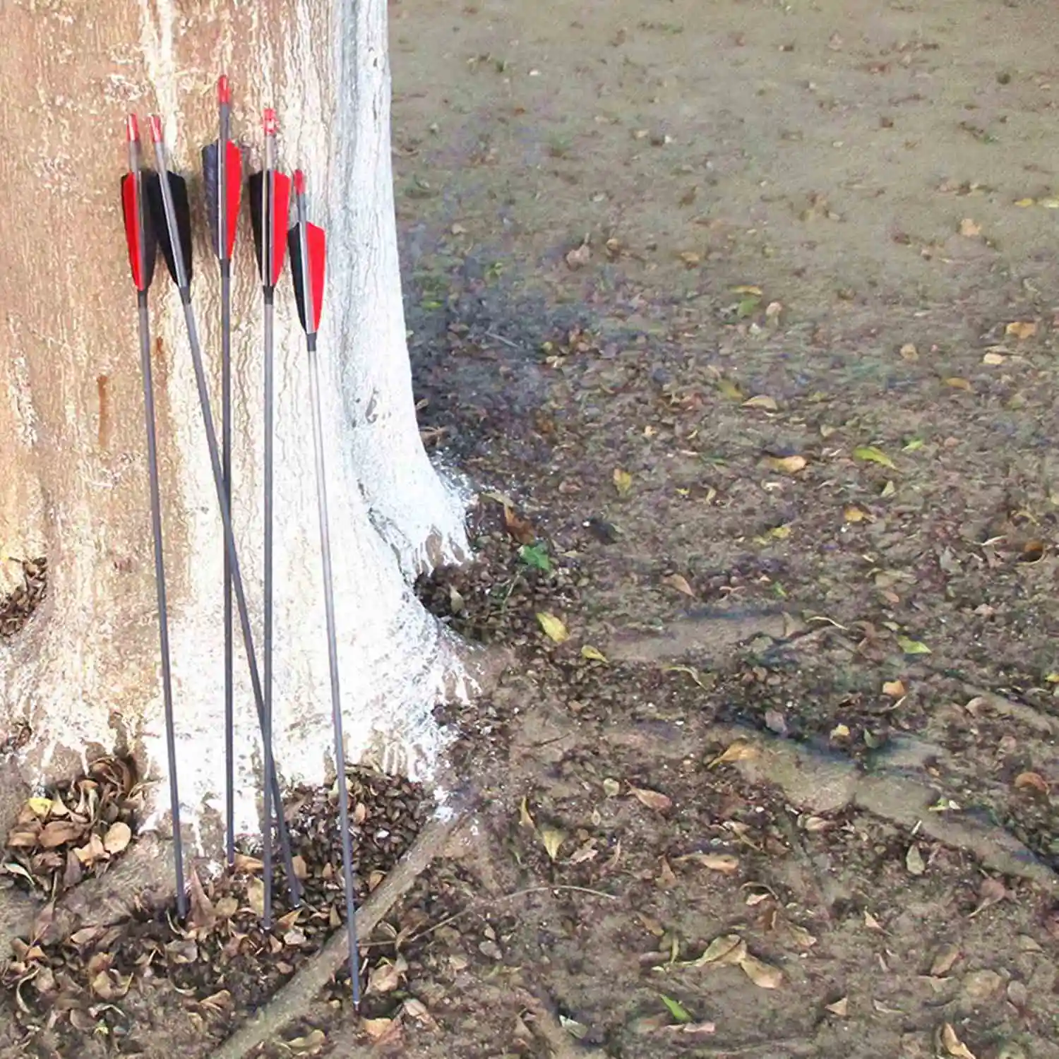 Carbon Arrows Archery Shafts with Real Feathers and Field Points for Hunting Target Shooting