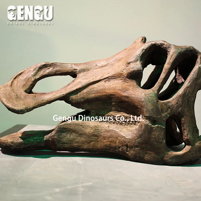For Exhibit Dig Out Dinosaur Skull Dinosaur Bone Replica