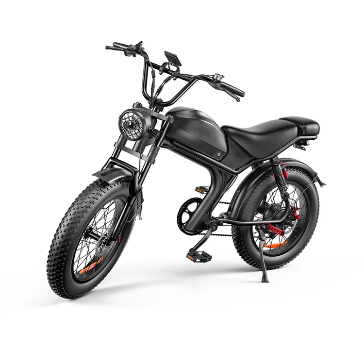 EU Warehouse Door to Door 2024 Arrival Rear Motor Wheel 20inch 1000W Fat Tire Electric Powerful Bicycle