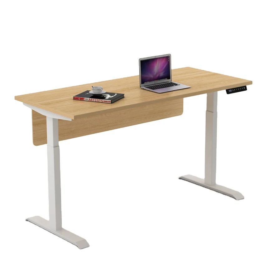 Standing Desk Height Adjustable Sit Stand Motorised Dual Motors White Frame Desk