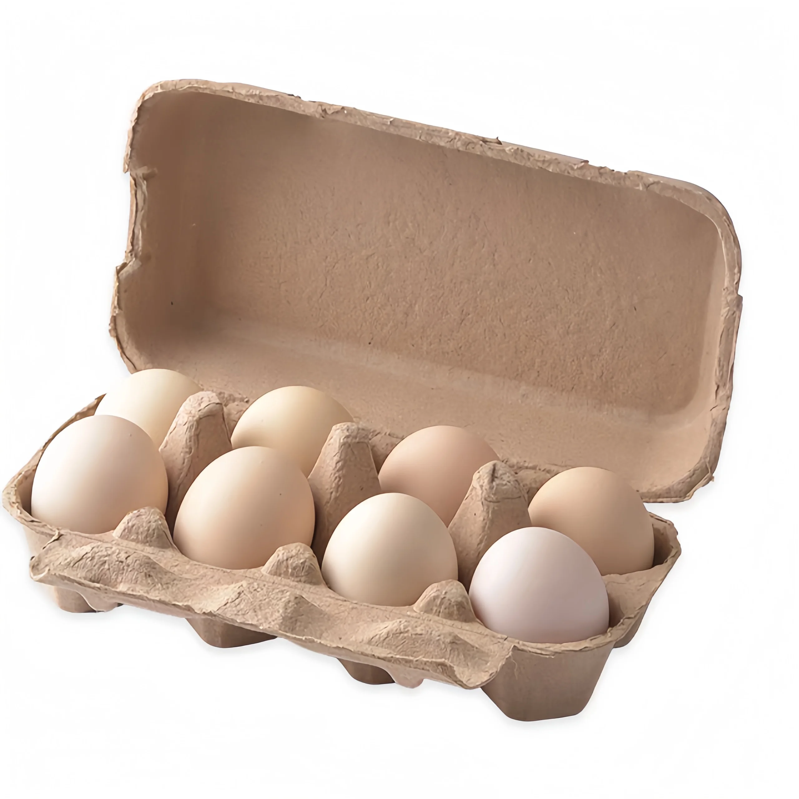 Custom Low Price Six Holds Biodegradable Paper Pack Duck Eggs Carton Tray Box