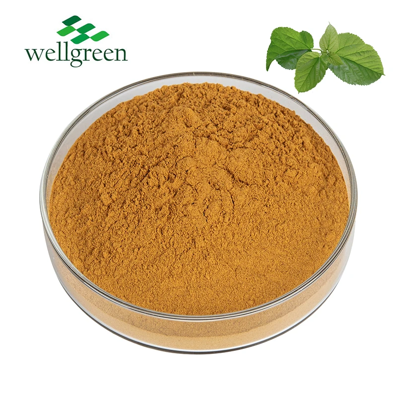 Factory Supply mulberry extract Organic Mulberry Leaf Extract Powder Natural 10:1 Mulberry Leaf Extract