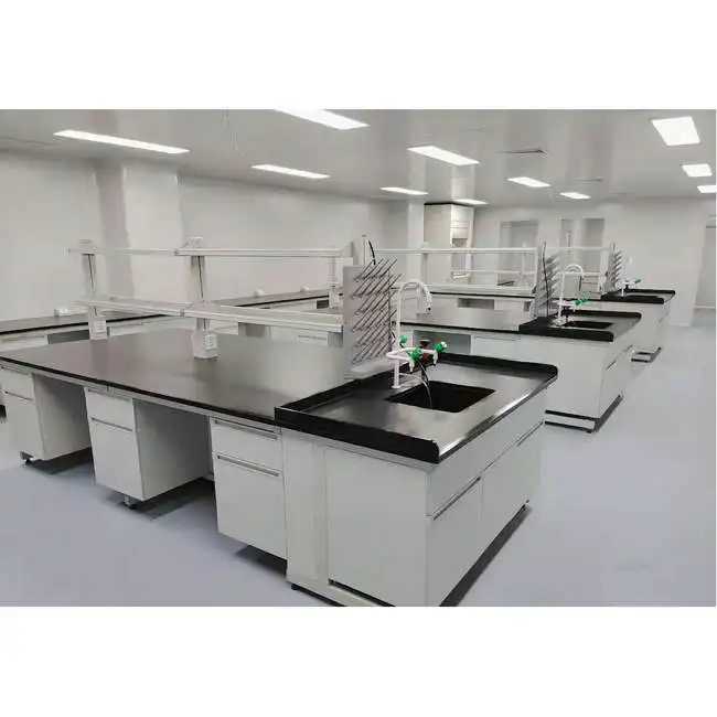 Epoxy Coated Steel Frame And Wood Laboratory Worktable With Lab PP Sink