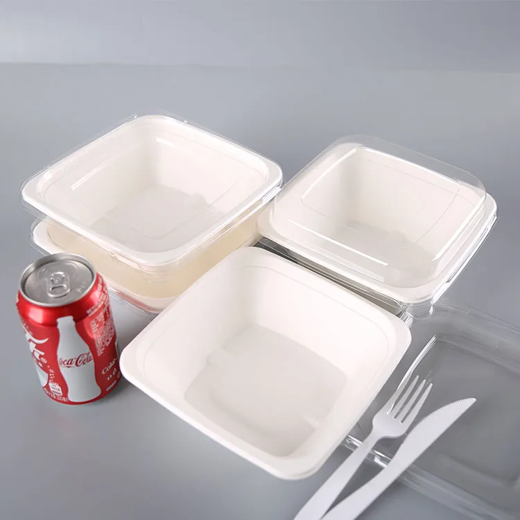 Hot sale biodegradable disposable sugarcane  bagasse tableware