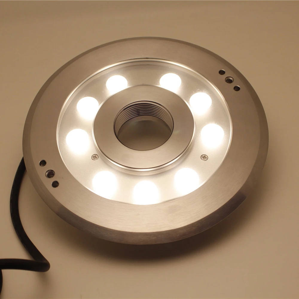 Stainless Steel Ip68 12v Cold White Led Underwater Light  For Pool Fountain