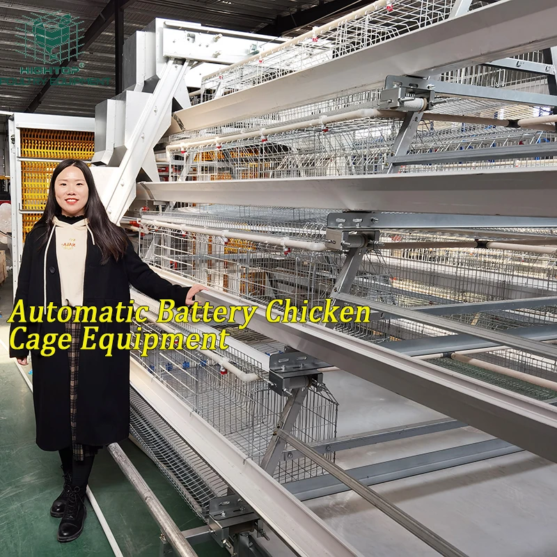 A Type 4 Tiers Egg Laying 20000 Hens Layer Battery Automatic Chicken Cage for Poultry Farming in Angola