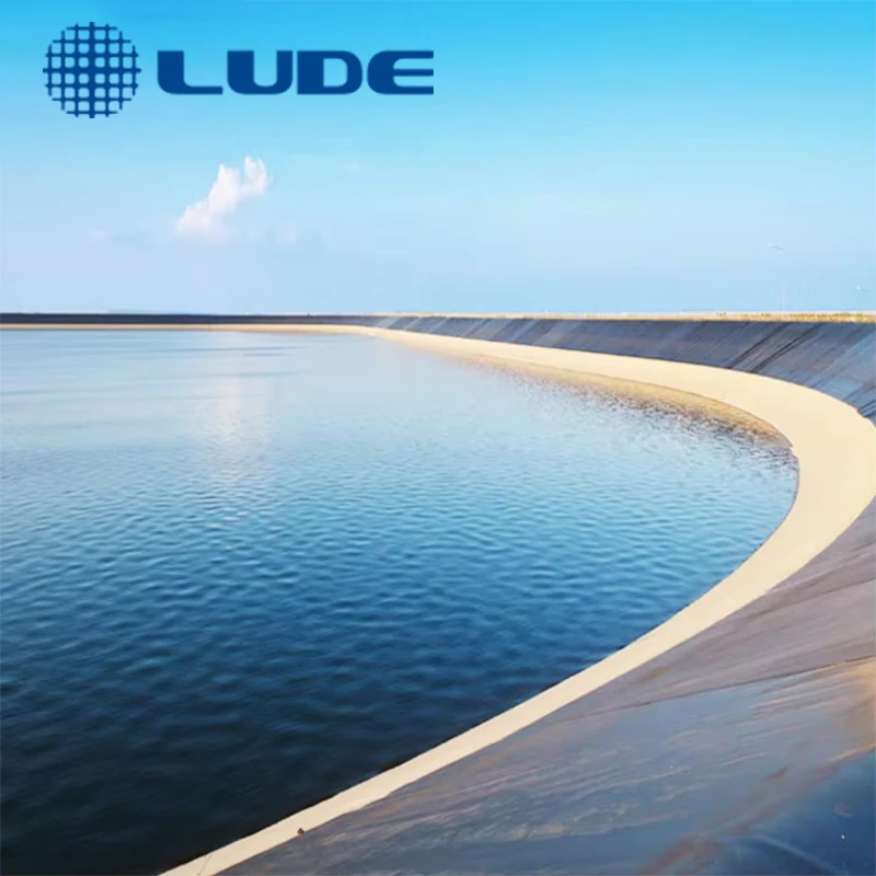Пруды LDPE/HDPE контроль просачивания геомембраны ирригационные системы Geomembrana черный промышленный индивидуальный рыбный пруд люда 0 5-2 5 мм