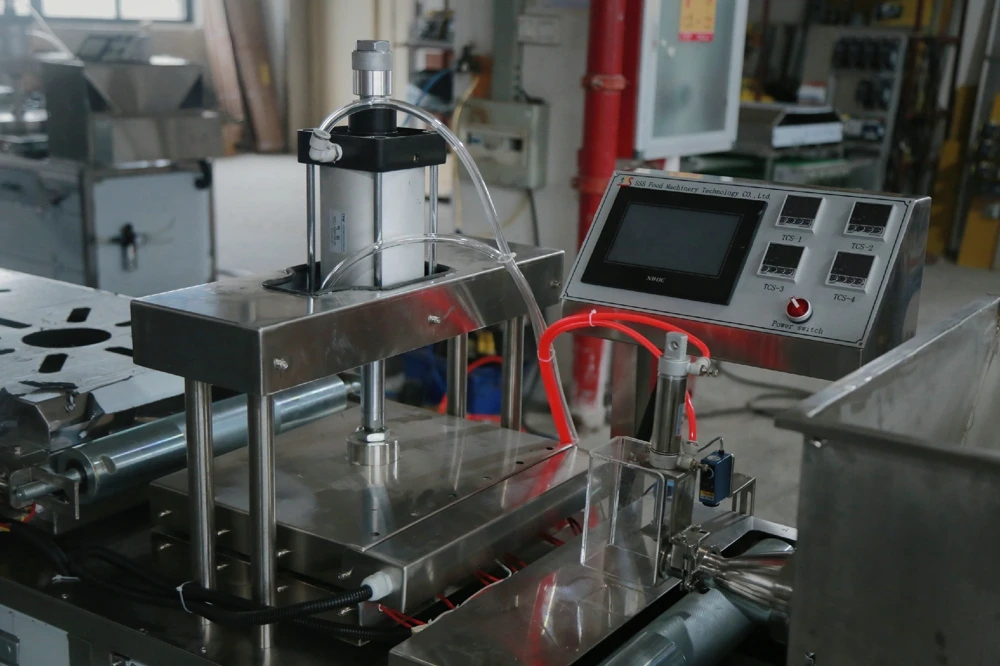 
sss supplied tortilla chips production line 