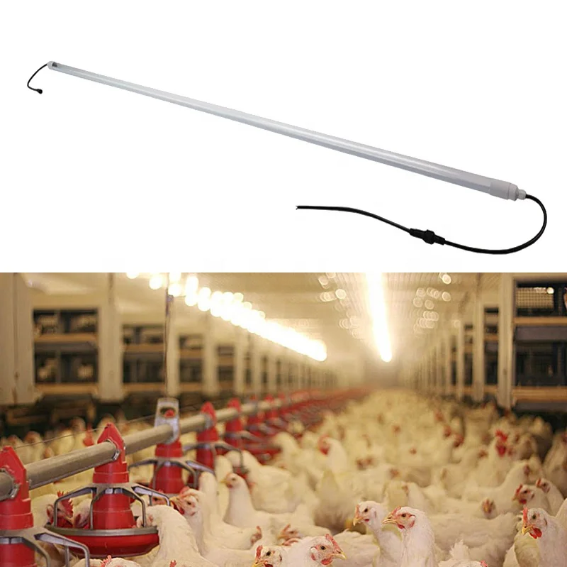 ip65 ip67 poultry farm led tube light poultry lighting for egg production