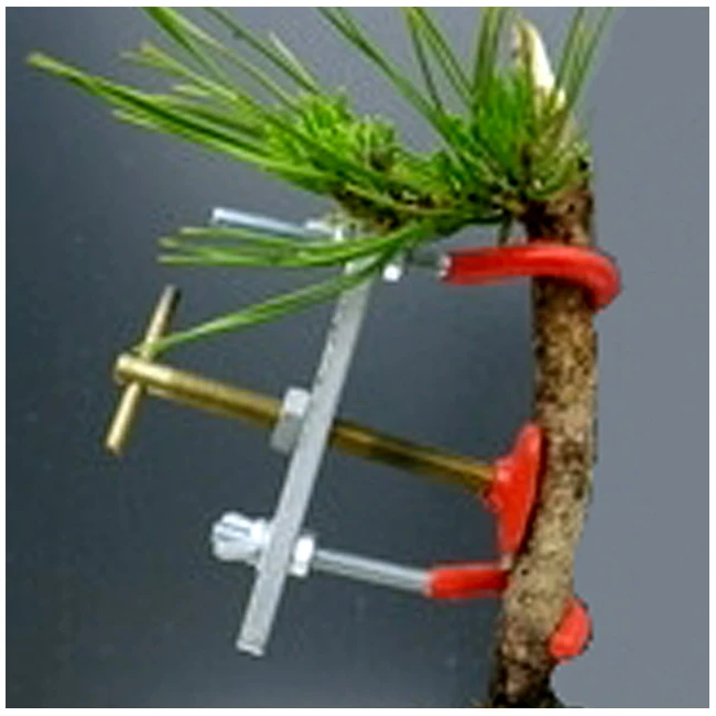Japanese plants bonsai vise tools for straightening branches