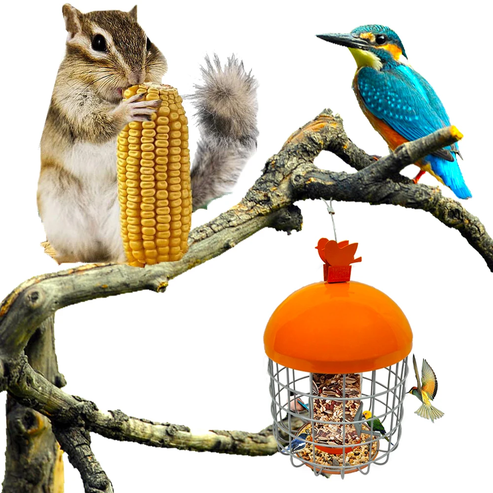 2021 Outdoor &Garden  Orange Round Hanging Squirrel Metal Wire Cage Wild Bird Feeder With Plastic Tube