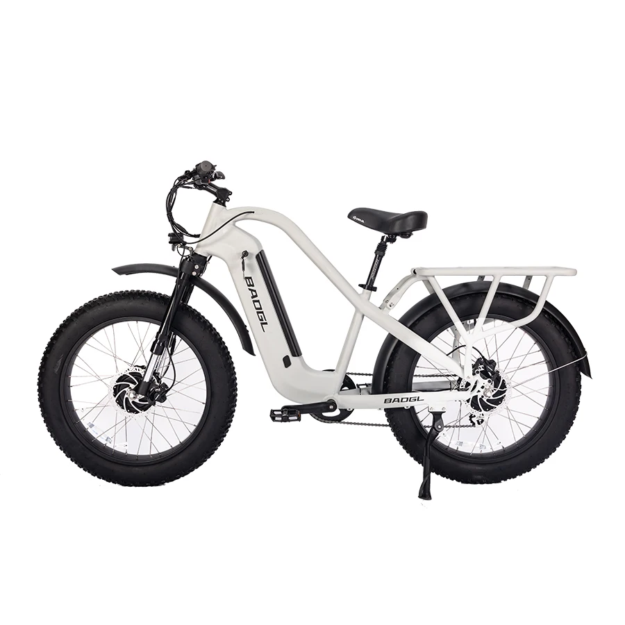 Safeway 20inch alloy frame folding bike Electric Folding Bike 24inch Europe Pedal Assist Foldable Bicycle Ebike Electric Bicycle