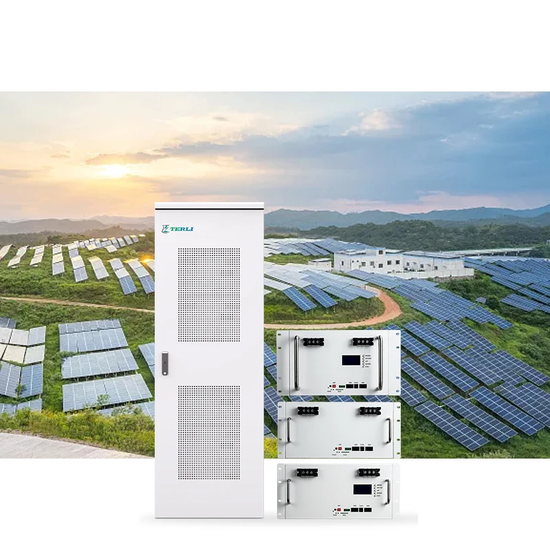 Rechargeable 48v 100ah Li Ion Battery 48vlithium Ion Battery For E Bikes