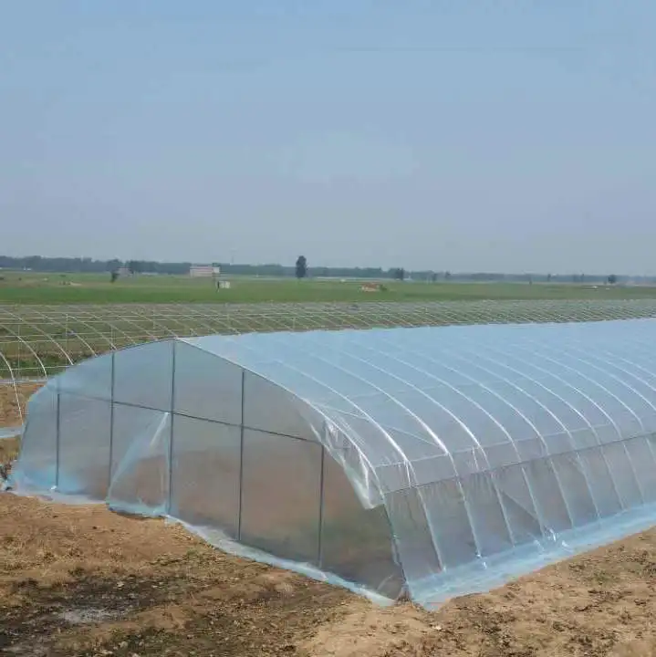 2024 hot sale tunnel greenhouse plastic hydroponic system growing vegetable salad