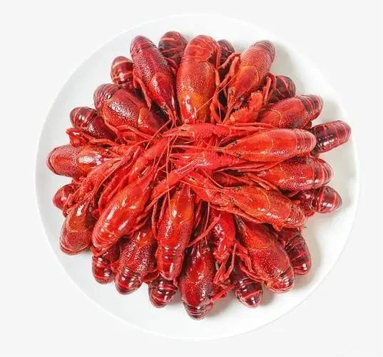 Hot selling frozen Lobster live whole crayfish seasoned spicy lobster from Qingzheng