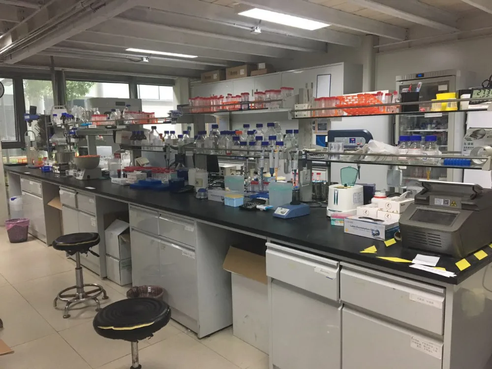 Magnetic nanoparticles Fe3O4 magrose coated beads for Strep-Tactin (Strep-tag II) proteins purification