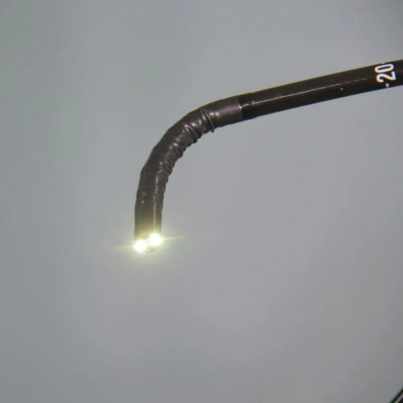 Veterinary Endoscope Video Gastroscope Bronchoscope Endoscopy Machine Price For Equine Or Horse