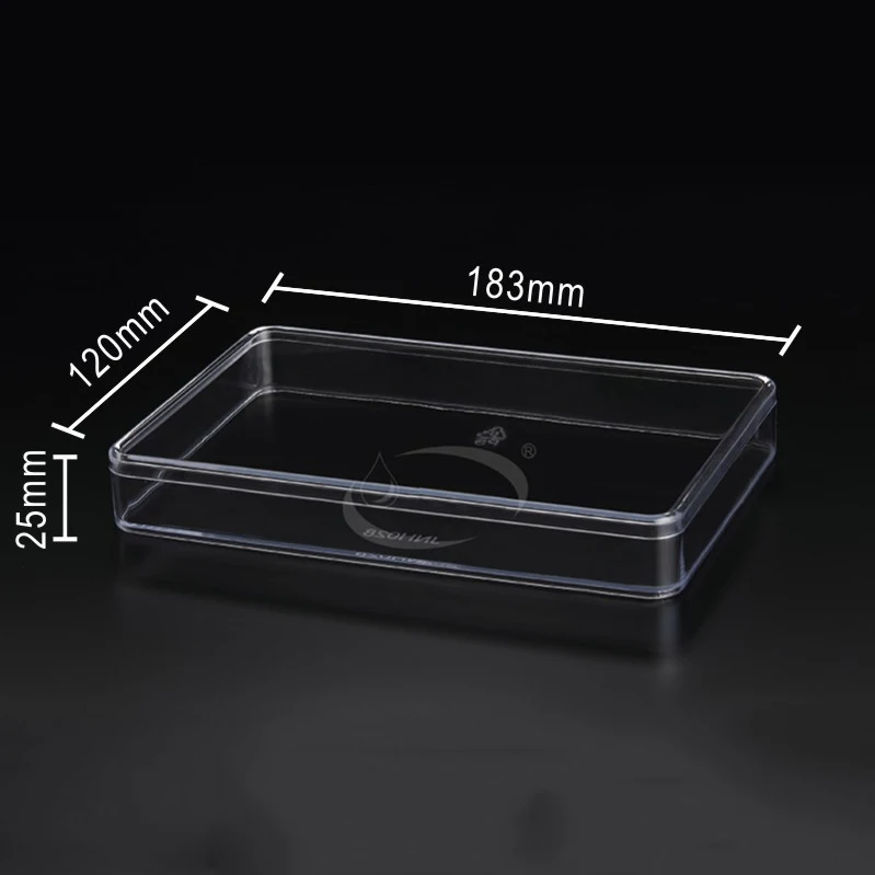 injection molding transparent box Baking packaging box biscuit flat fruit thousand layer cake Mousse Cake cookie
