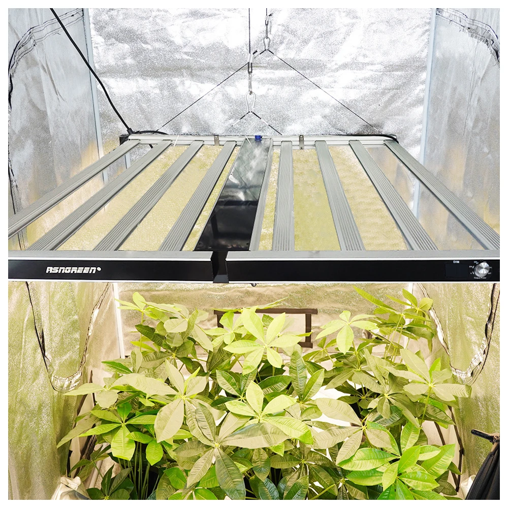 New 2022 Lm301b 650w 1000w Samsung Lm301h Led Greenhouse Grow Light Aluminum OEM Price 90cm Full Spectrum Led Grow Light Bar 170