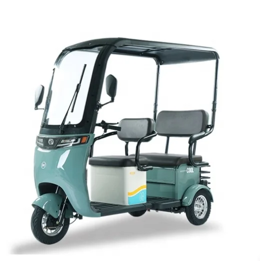 Tricycle Car Taxi Electric motorcycle Electronic for disabled Elderly people vehicle wheel-chair cycle 3 wheels 600W 48V 60V